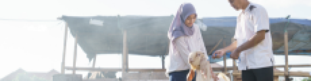 Panduan Qurban: Syarat Hewan Dan Waktu Penyembelihan