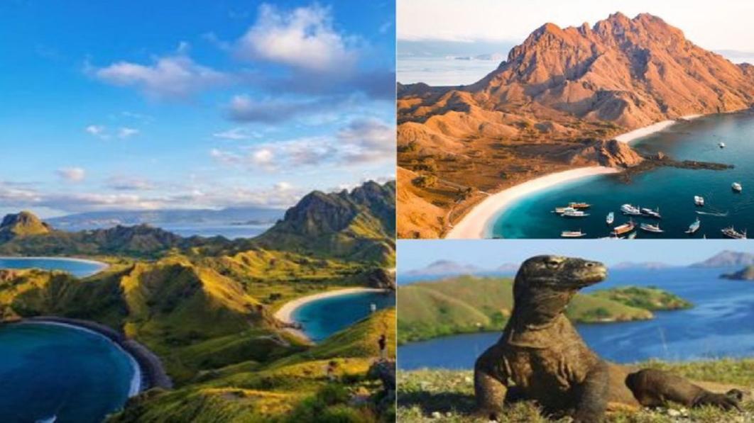 Komodo Trip From Lombok Petualangan Laut Eksotis Dari Lombok Hingga Labuan Bajo