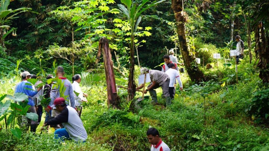 Mengoptimalkan Akses Informasi Lingkungan Melalui Dinas Lingkungan Hidup Daerah Lingga