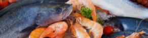 Gambar Artikel Manfaat Ikan Laut Untuk Kesehatan Otak