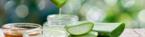 Manfaat Aloe Vera Gel Untuk Kecantikan