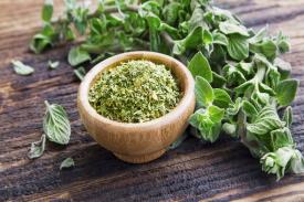 Manfaat Rempah Oregano bagi Kesehatan Tubuh