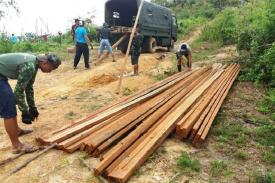Gambar Artikel Nunukan: Modus Kelapa Sawit Selalu Munculkan Ilegal Logging