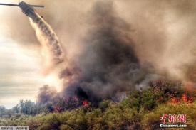Gambar Artikel Kiamat Sugra: Dahsyatnya Kebakaran Lahan di California