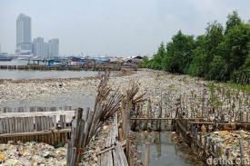 Sampah Organik dari Limbah RT Penuhi Teluk Muara Angke, Bagaimana dengan Ekosistem di Sana?