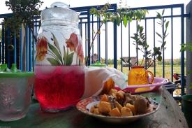 Bolehkan Kita Memakan Makanan yang Sudah Dihinggapi Lalat?