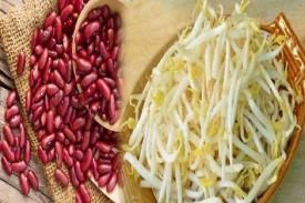Gambar Artikel Beberapa Jenis Makanan yang Tidak Boleh Dikonsumsi Mentah