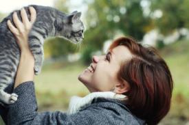 Manfaat Memelihara Kucing, Bikin Tenang Hingga Menyehatkan Jantung